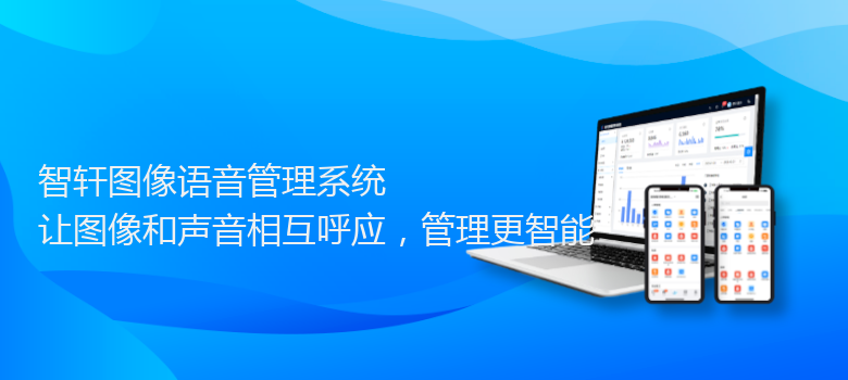 图像语音管理系统